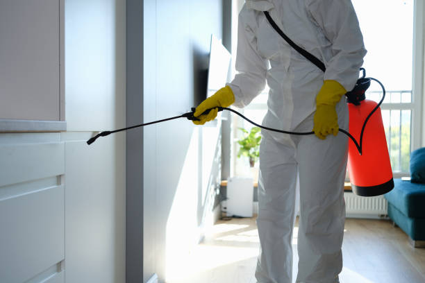 Best Emergency Mold Remediation  in Marrero, LA